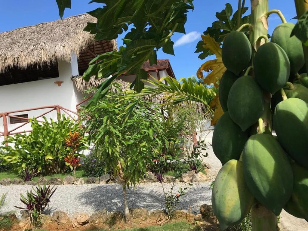 La Casa De Sergio Y Cristina Лас-Терренас Екстер'єр фото